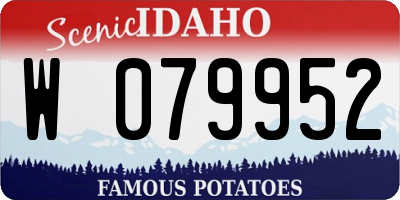ID license plate W079952