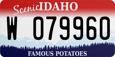 ID license plate W079960