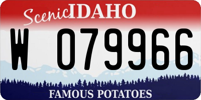 ID license plate W079966