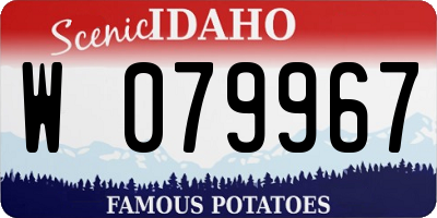 ID license plate W079967