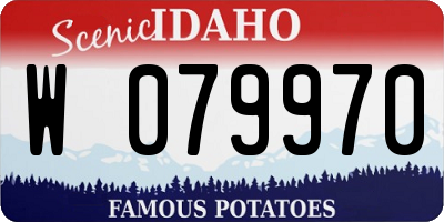 ID license plate W079970
