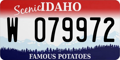 ID license plate W079972