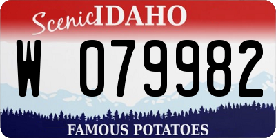 ID license plate W079982