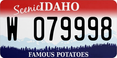 ID license plate W079998