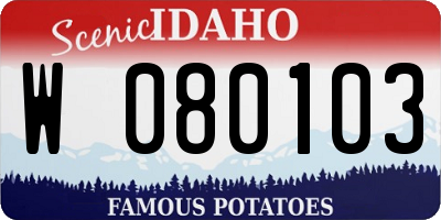 ID license plate W080103