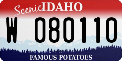 ID license plate W080110