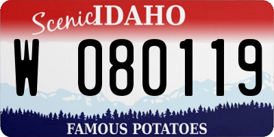 ID license plate W080119
