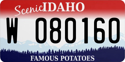 ID license plate W080160