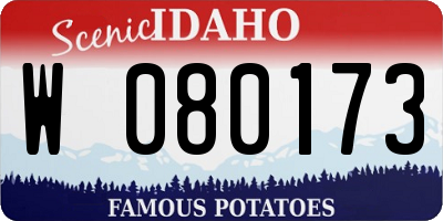 ID license plate W080173