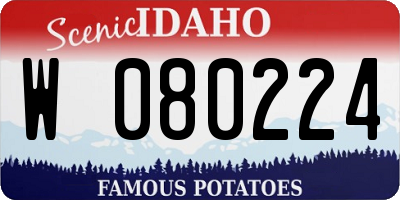 ID license plate W080224