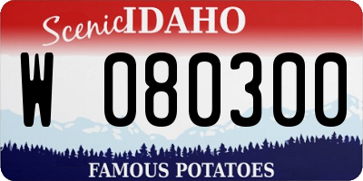 ID license plate W080300