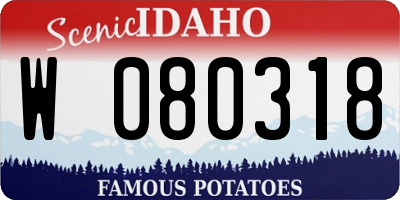 ID license plate W080318