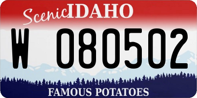 ID license plate W080502