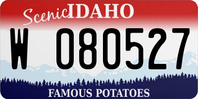 ID license plate W080527