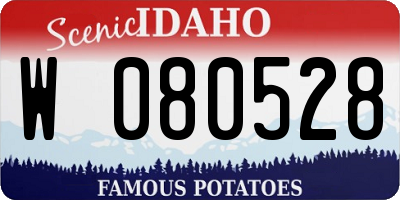 ID license plate W080528