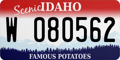ID license plate W080562