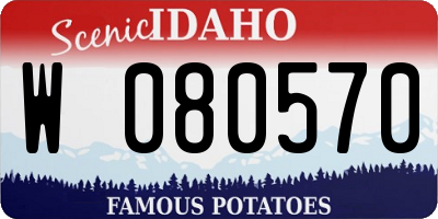 ID license plate W080570