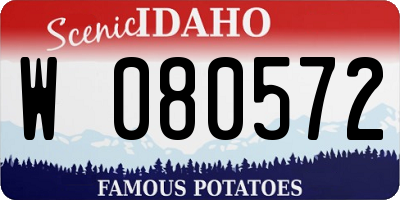ID license plate W080572