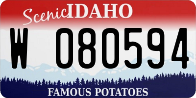 ID license plate W080594