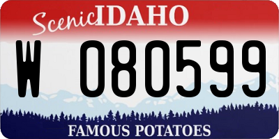 ID license plate W080599