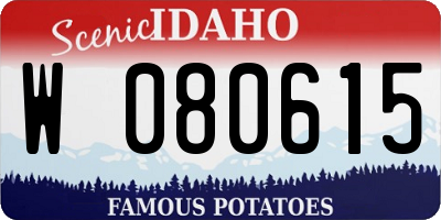 ID license plate W080615