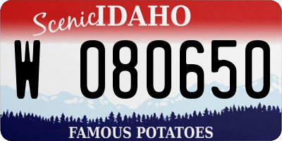 ID license plate W080650