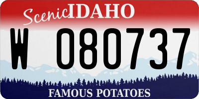 ID license plate W080737