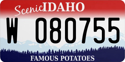 ID license plate W080755