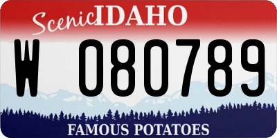 ID license plate W080789