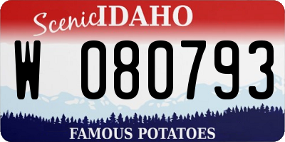 ID license plate W080793