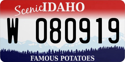 ID license plate W080919