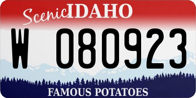 ID license plate W080923