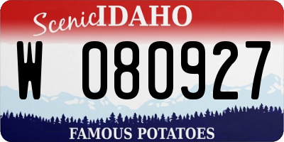 ID license plate W080927