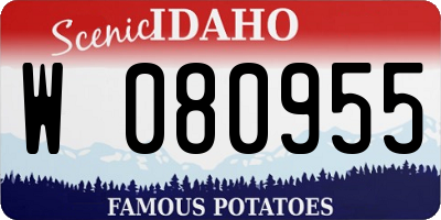 ID license plate W080955