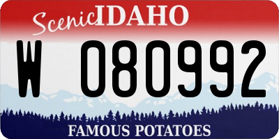 ID license plate W080992