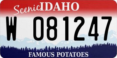 ID license plate W081247
