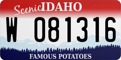 ID license plate W081316