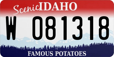 ID license plate W081318