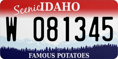 ID license plate W081345