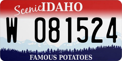 ID license plate W081524
