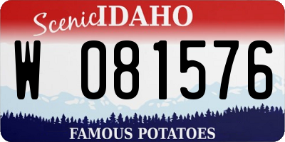ID license plate W081576