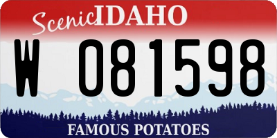 ID license plate W081598