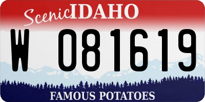 ID license plate W081619