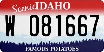 ID license plate W081667