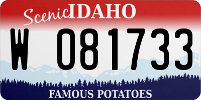 ID license plate W081733