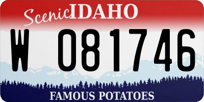 ID license plate W081746