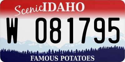 ID license plate W081795