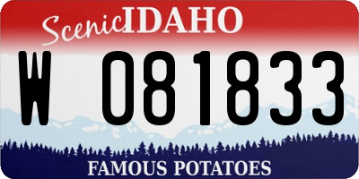 ID license plate W081833