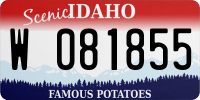 ID license plate W081855