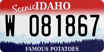 ID license plate W081867